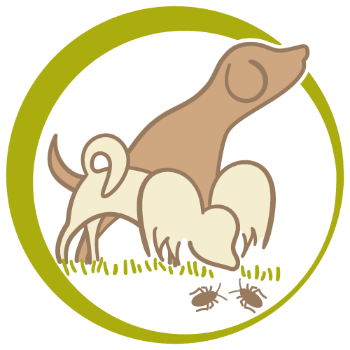 insektenspuerhunde.ch